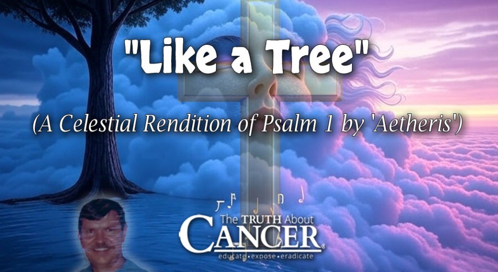 Like-a-Tree-Header1