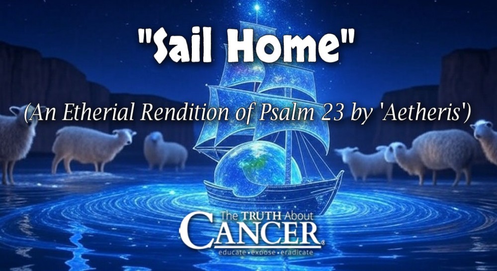 Sail-Home-Featured