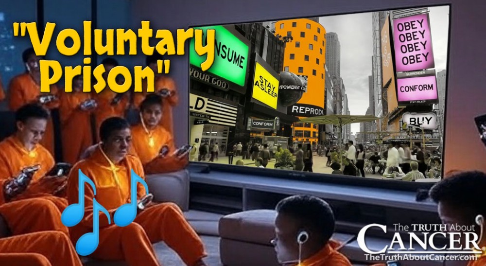 TTAC-Voluntary-Prison-FEAT